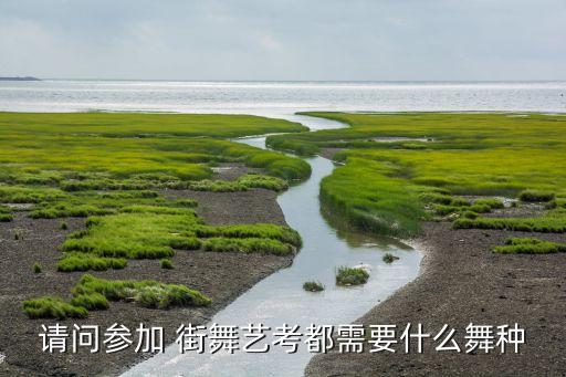 街舞等级考试分几级,舞蹈考级证书查询网入口