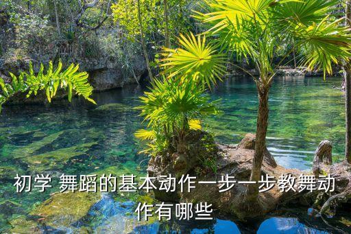 初学 舞蹈的基本动作一步一步教舞动作有哪些