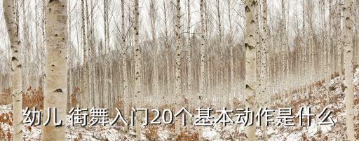 幼儿 街舞入门20个基本动作是什么