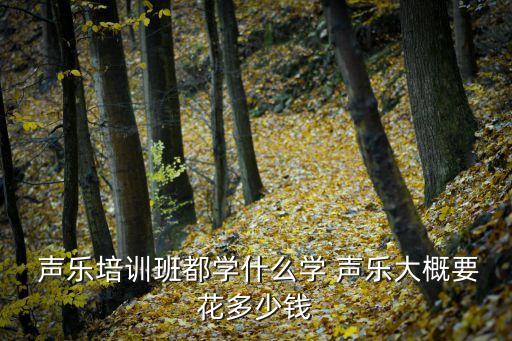 声乐专业学什么,声乐表演专业学什么内容