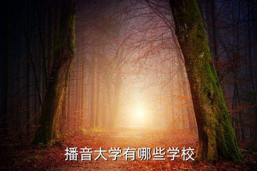 播音大学有哪些学校