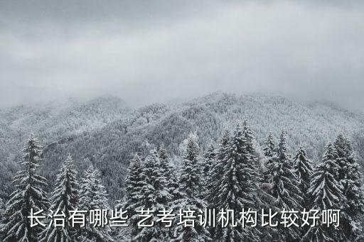  长治有哪些 艺考培训机构比较好啊