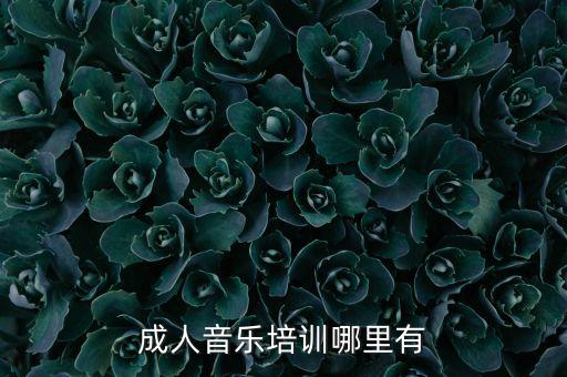 成人学唱歌哪里去学北京,成人想学唱歌从哪里入手