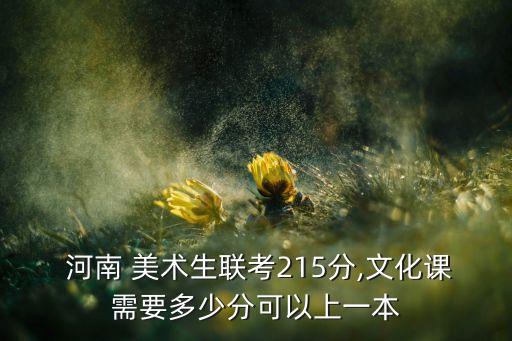  河南 美术生联考215分,文化课需要多少分可以上一本