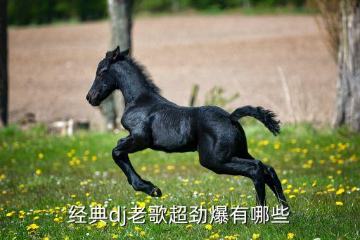 经典dj老歌超劲爆有哪些