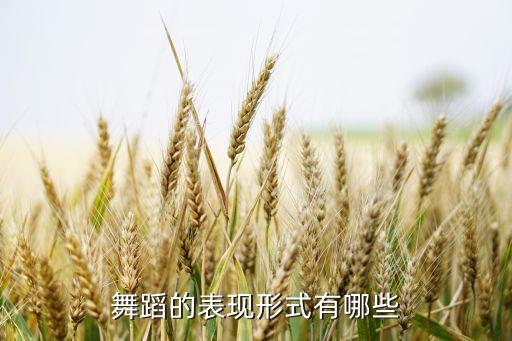 舞蹈的表现形式有哪些