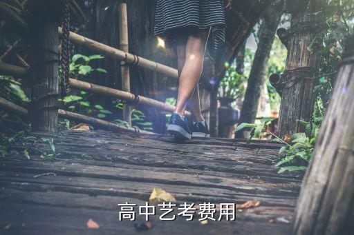 高中艺考费用
