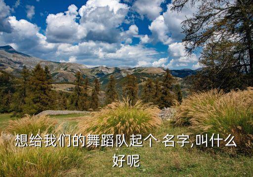 想给我们的舞蹈队起个 名字,叫什么好呢