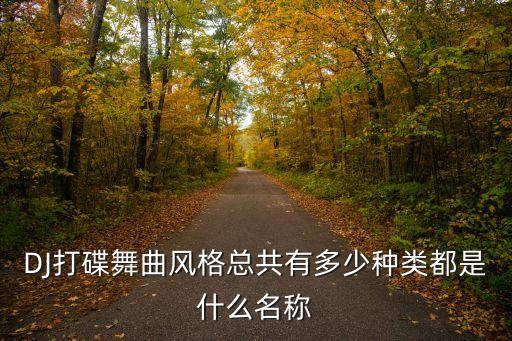 DJ打碟舞曲风格总共有多少种类都是什么名称