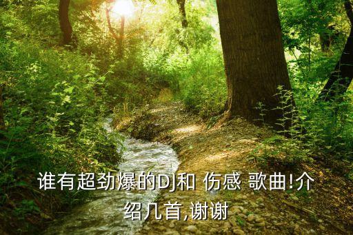 谁有超劲爆的DJ和 伤感 歌曲!介绍几首,谢谢