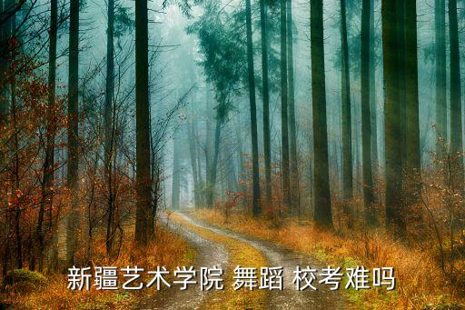 新疆艺术学院 舞蹈 校考难吗