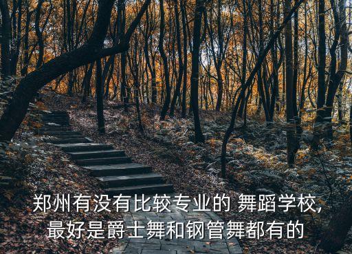 郑州舞蹈培训机构排名榜,石家庄舞蹈培训机构排名榜