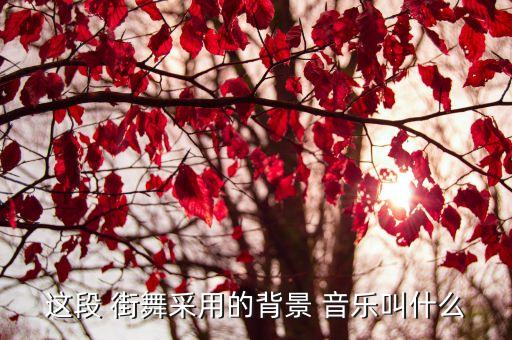 这段 街舞采用的背景 音乐叫什么