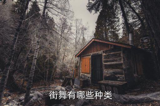 街舞mtv,街舞MTV是什么意思中文