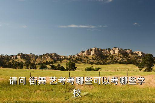 请问 街舞 艺考考哪些可以考哪些学校