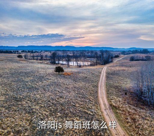 洛阳最好的舞蹈学校,洛阳前十名舞蹈学校