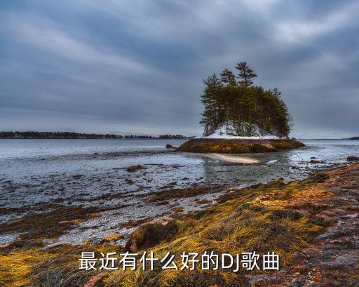 最近有什么好的DJ歌曲