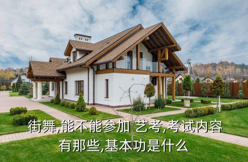  街舞,能不能参加 艺考,考试内容有那些,基本功是什么