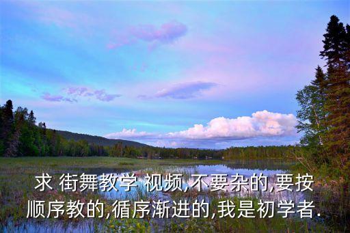 求 街舞教学 视频,不要杂的,要按顺序教的,循序渐进的,我是初学者.