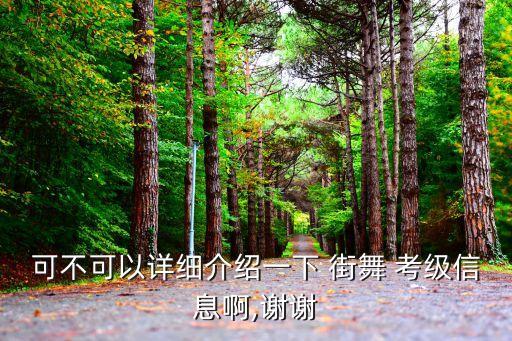 可不可以详细介绍一下 街舞 考级信息啊,谢谢