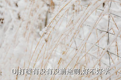 DJ打碟有没有没前途啊,好不好学