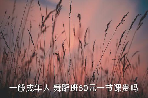 一般成年人 舞蹈班60元一节课贵吗