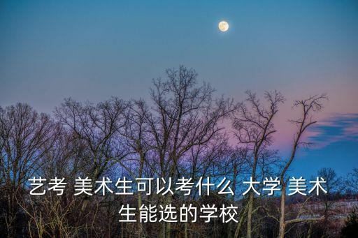 艺考 美术生可以考什么 大学 美术生能选的学校