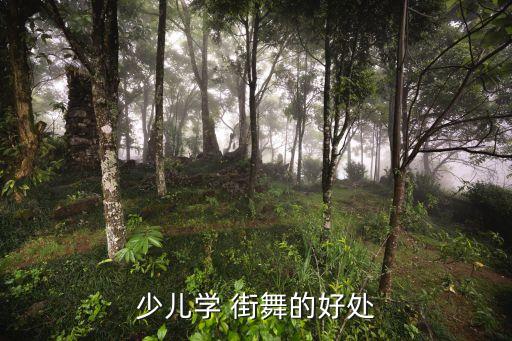 少儿学 街舞的好处