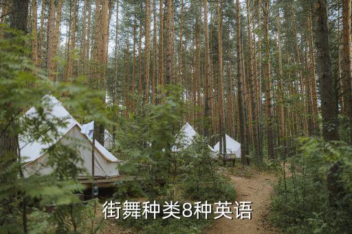  街舞种类8种英语