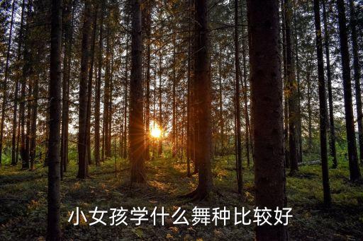 小女孩学什么舞种比较好