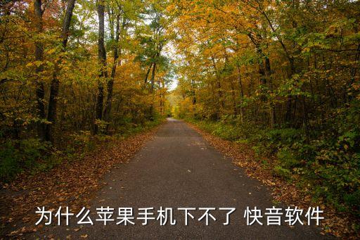 为什么苹果手机下不了 快音软件