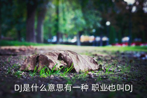 dj属于什么职业类型,程序员属于什么职业类型