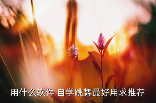 用什么软件 自学跳舞最好用求推荐