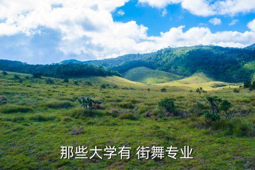 那些大学有 街舞专业