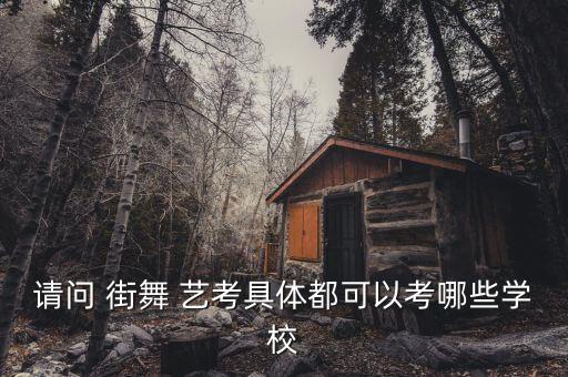 请问 街舞 艺考具体都可以考哪些学校