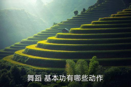 跳舞基本功,怎样学会跳舞基本功