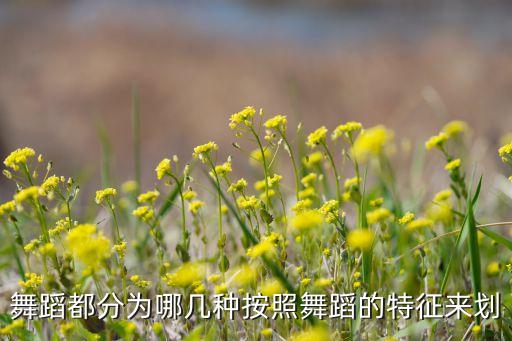舞蹈都分为哪几种按照舞蹈的特征来划
