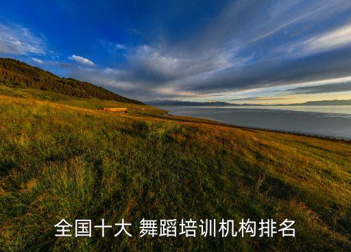 全国十大 舞蹈培训机构排名