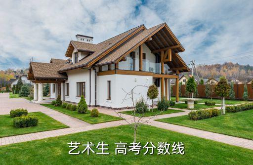 艺术生 高考分数线