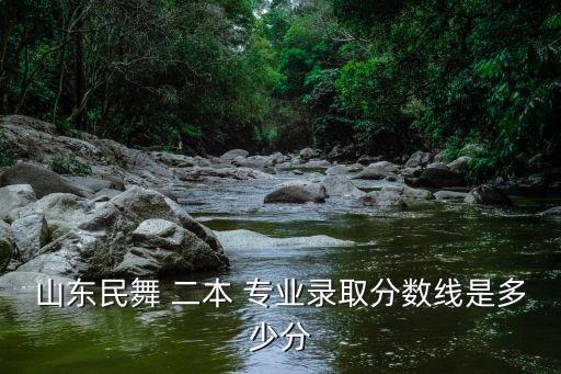 舞蹈专业二本