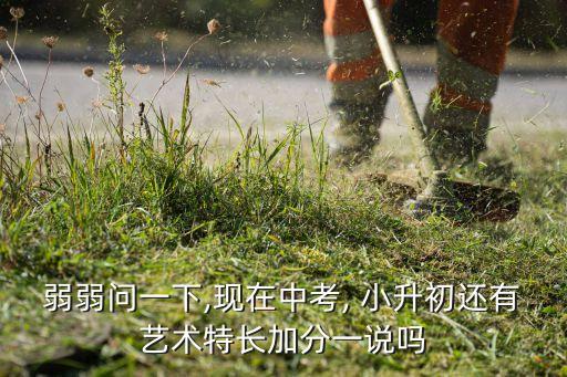 弱弱问一下,现在中考, 小升初还有艺术特长加分一说吗