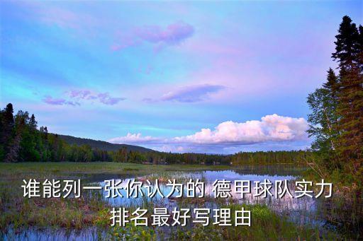 谁能列一张你认为的 德甲球队实力 排名最好写理由