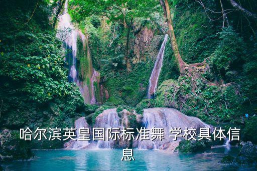 哈尔滨英皇国际标准舞 学校具体信息