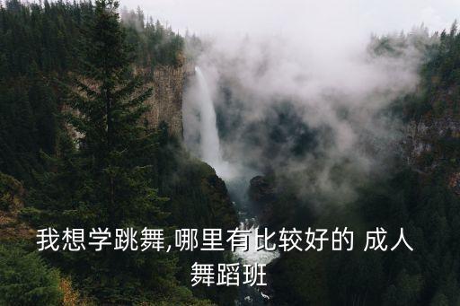 我想学跳舞,哪里有比较好的 成人 舞蹈班