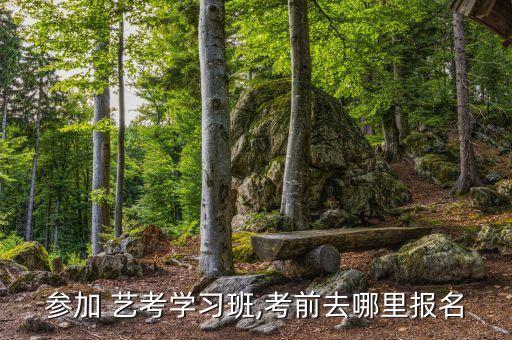 参加 艺考学习班,考前去哪里报名