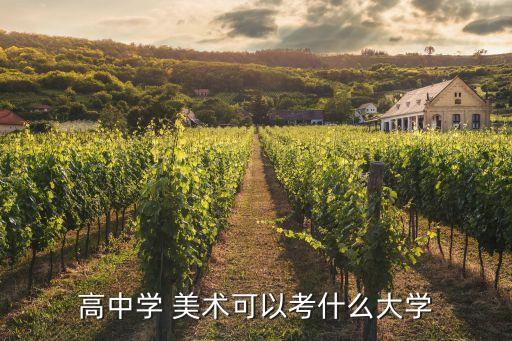 高中学 美术可以考什么大学