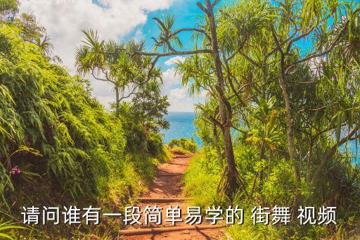 请问谁有一段简单易学的 街舞 视频