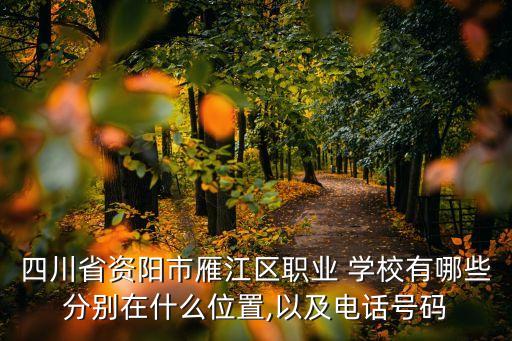 四川省资阳市雁江区职业 学校有哪些分别在什么位置,以及电话号码