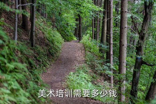 美术培训需要多少钱