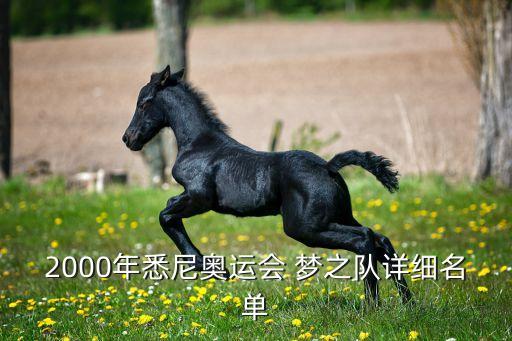 2000年悉尼奥运会 梦之队详细名单